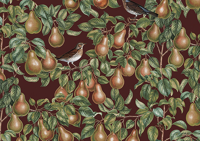Pears, Russet - Made to Measure Curtains - Image 8